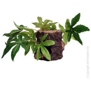 Reptile One Sativa On Resin Log 10X10X9Cm