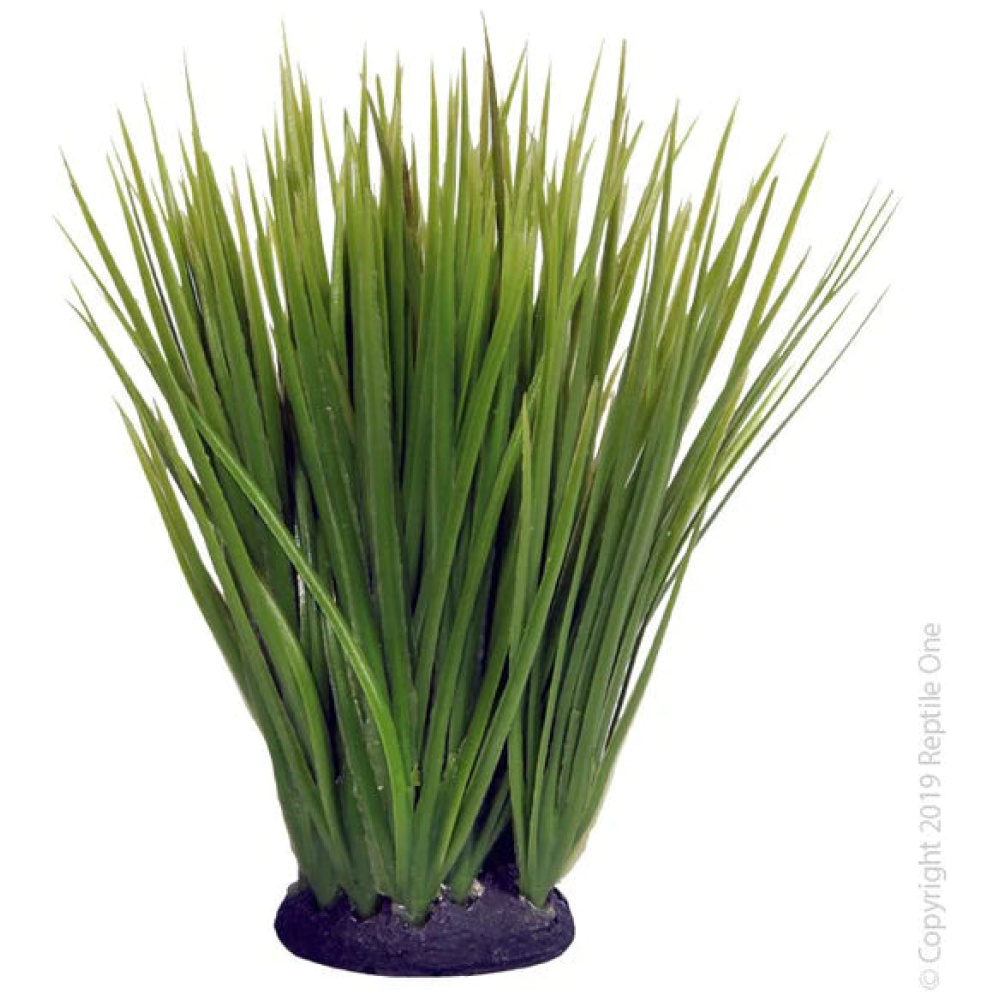 Reptile One Spinifex Green With Resin Base 8.5X6X18Cm