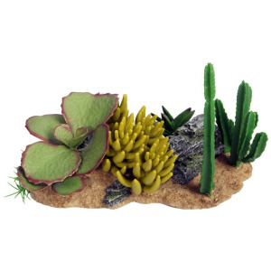 Reptile One Succulent Garden With Resin Base 30X16.5X17.5Cm