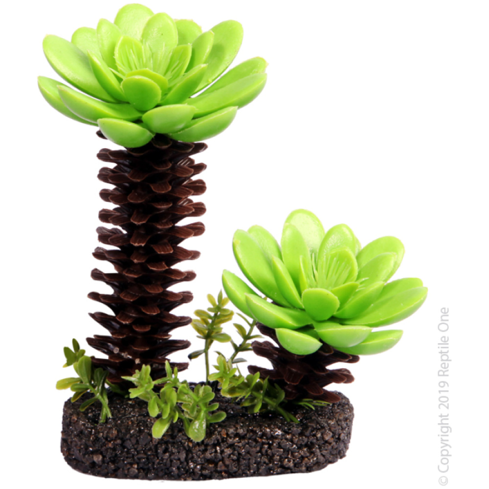 Reptile One Succulent Tree With Sand Base Medium 11X5.5X13.5Cm