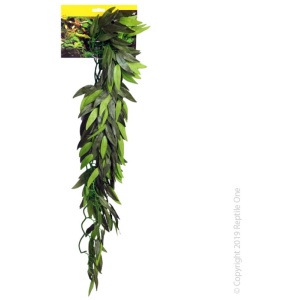 Reptile One Tradescantia Cascading Plant 72Cm Green