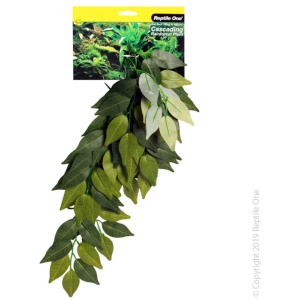 Reptile One Varigated Ivy Cascading Plant 72Cm Green