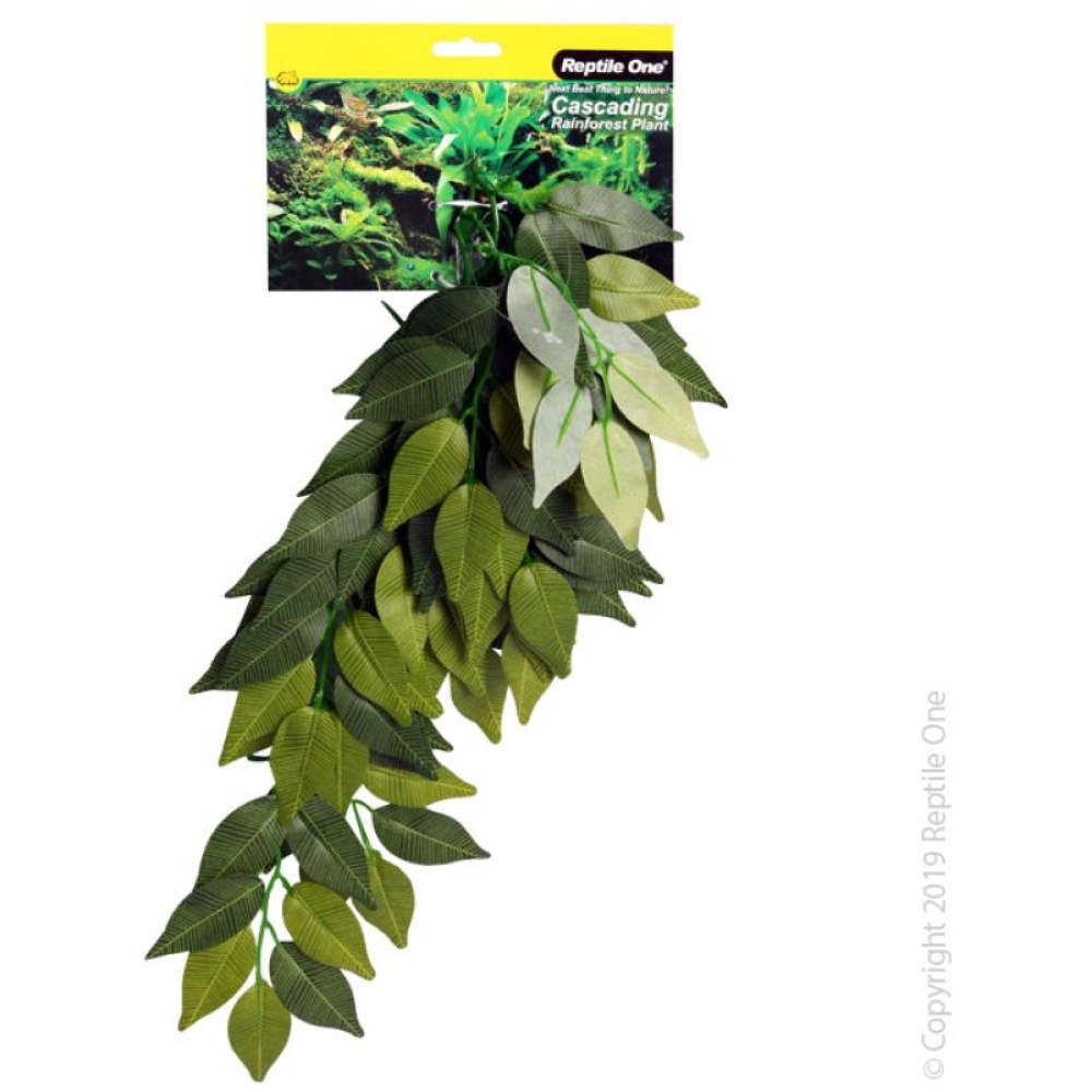 Reptile One Varigated Ivy Cascading Plant 40Cm Green