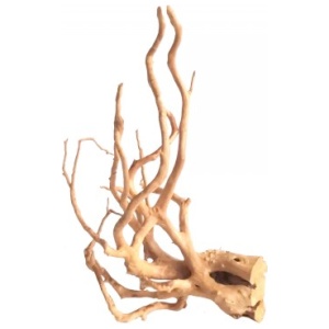 Spider Wood Medium 30 – 40cm 10 Pieces