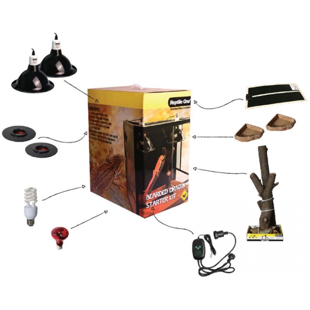 Reptile One Bearded Dragon Starter Kit Accessory Pack In A Box