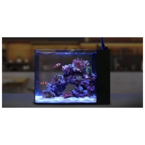 WATERBOX PENINSULA MINI