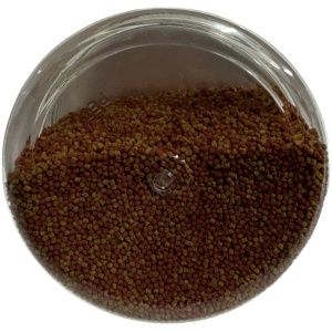 Absolute Colour Pellets 150g