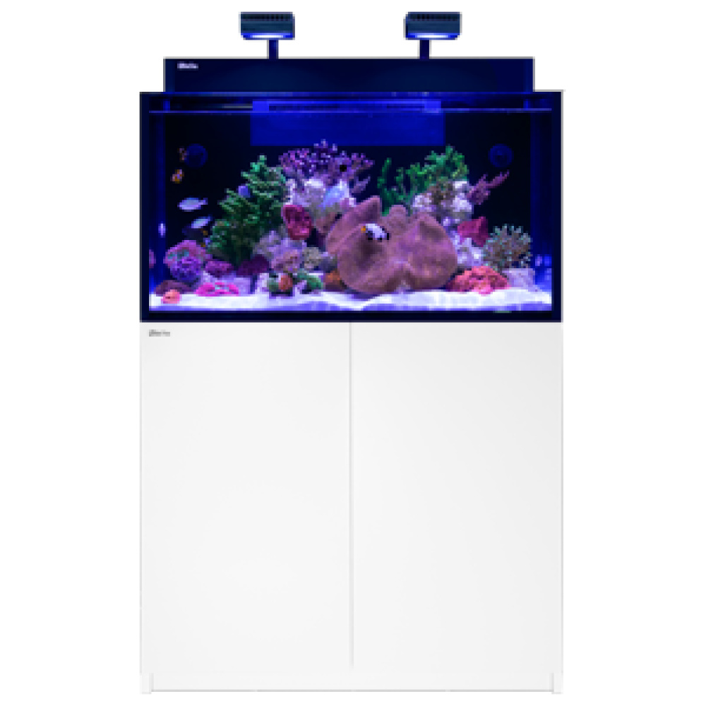 Red Sea Max Nano XXL G2 - Image 3