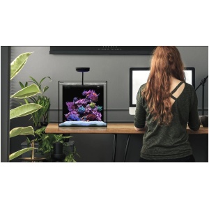 WaterBox Cube AIO