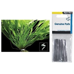 Plant Weight 6cm 10pk