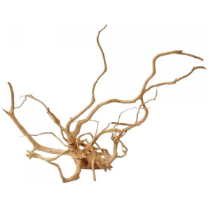 Bioscape Long Spider Wood 90cm 22 per Box