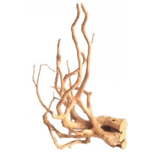 Bioscape Long Spider Wood 60cm 30 box