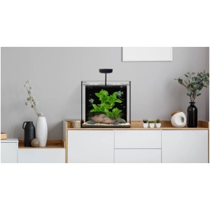 WaterBox Cube AIO
