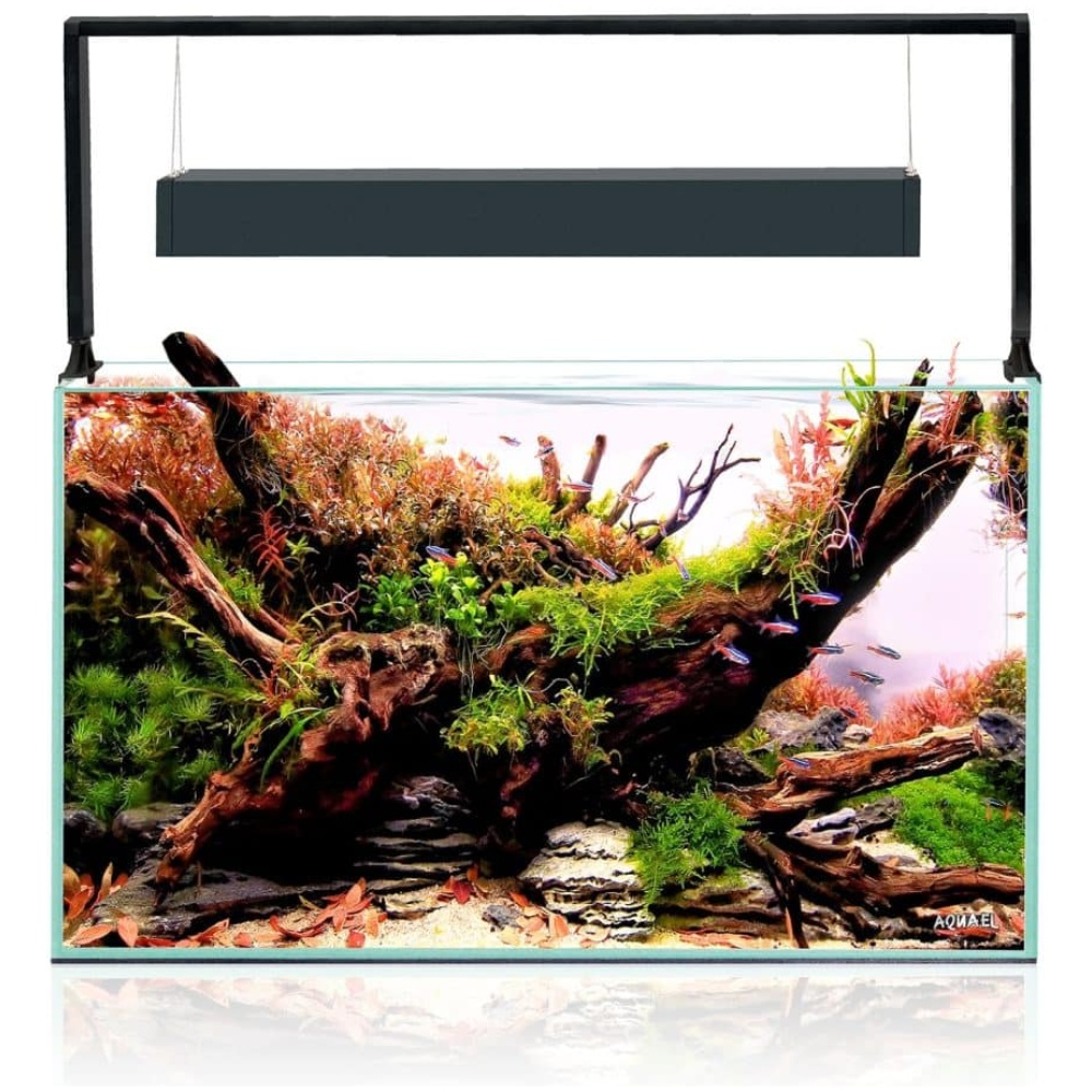 Aquael Ultrascape 60 Forrest Aquarium - Image 2