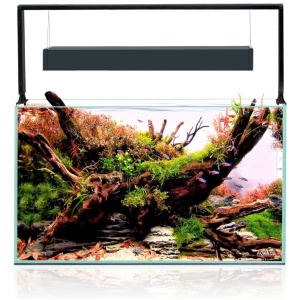 Aquael Ultrascape 60 Forrest Aquarium