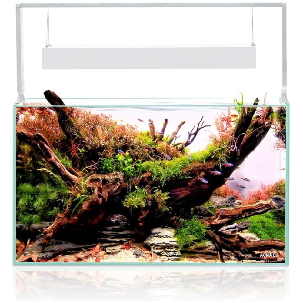 Aquael Ultrascape 60 Snow Aquarium - Image 2