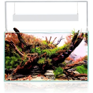 Aquael Ultrascape 60 Snow Aquarium