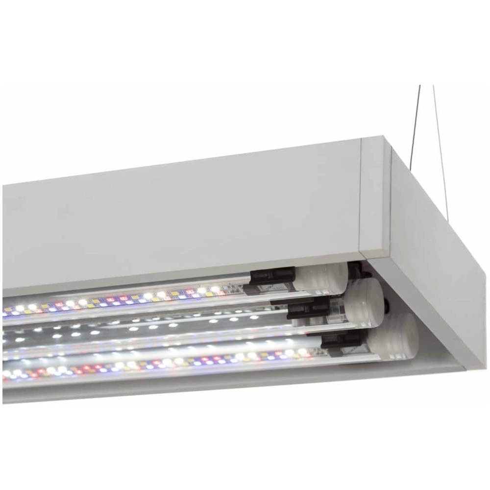 Aquael Ultrascape 60 Snow Aquarium - Image 8