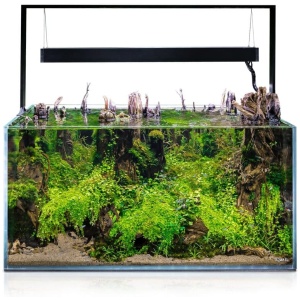 Aquael Ultrascape 90 Forrest Aquarium