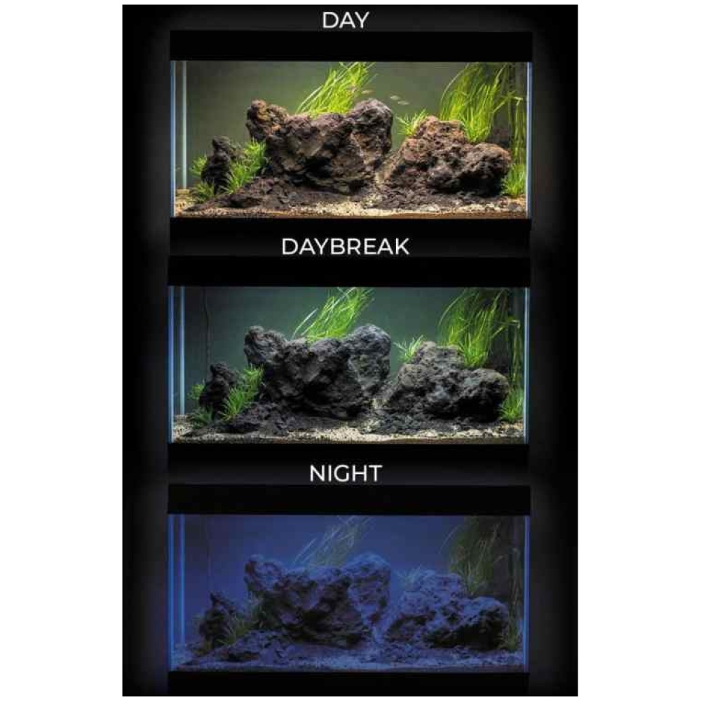 Aquael Ultrascape 60 Forrest Aquarium - Image 10