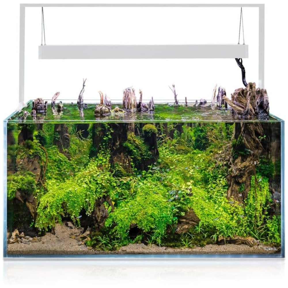 Aquael Ultrascape 90 Snow Aquarium - Image 2