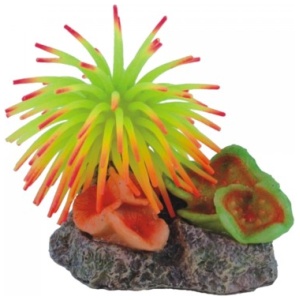 Bioscape Anemone Garden Small 10 x 7cm