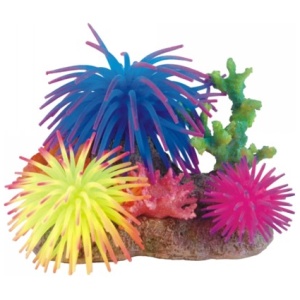 Bioscape Multiple Anemone Garden16 x 12cm Large