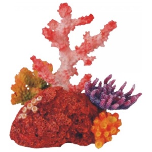 Bioscape Fantasy Coral Garden 16 x 15cm