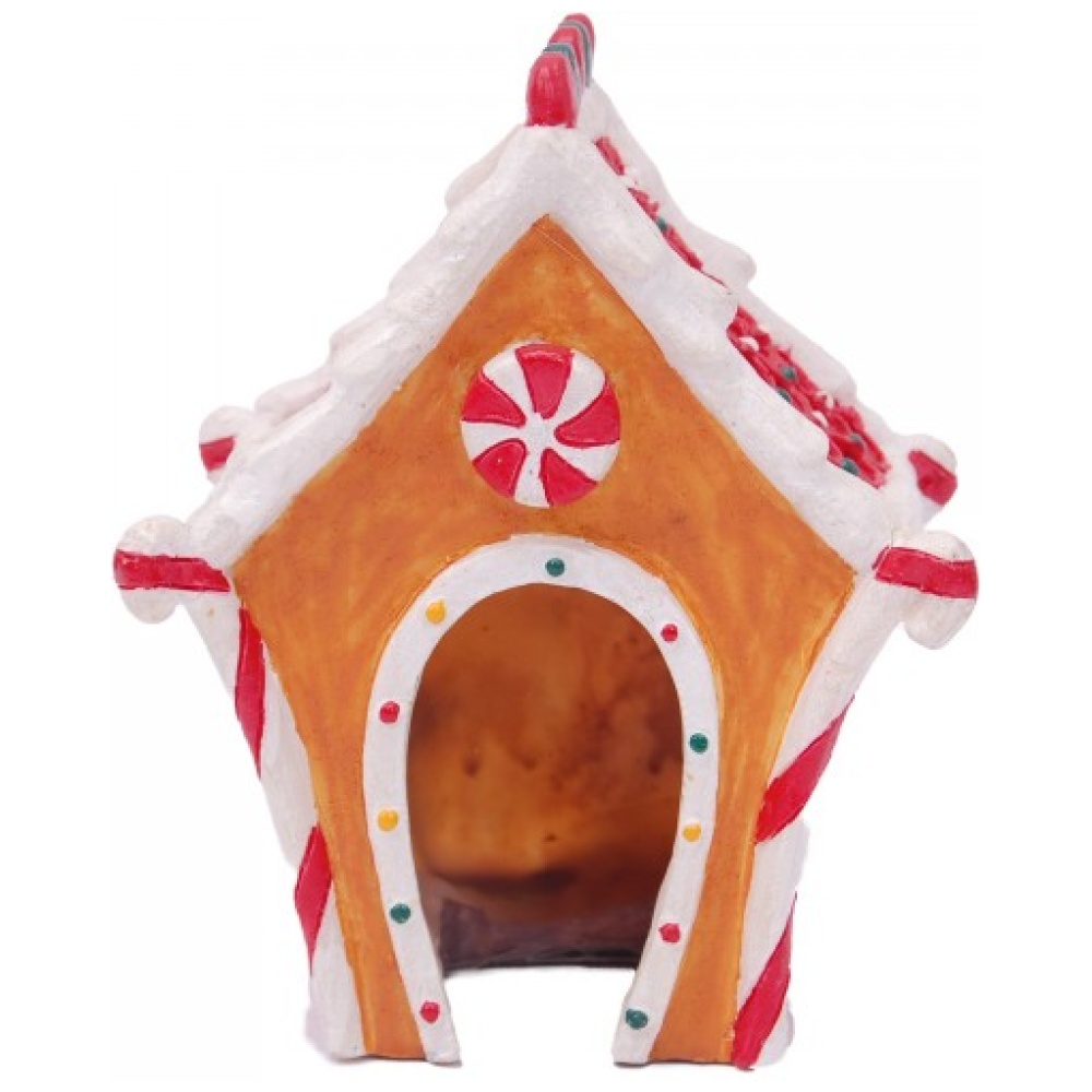 Bioscape Fantasy The Lolly House 11 x 11 x 9cm