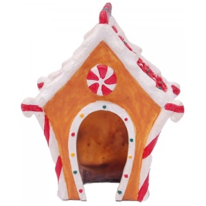 Bioscape Fantasy The Lolly House 11 x 11 x 9cm