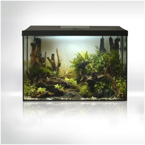 Aquael Leddy Day & Night 60XL Black Aquarium