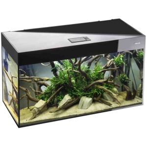 Aquael Glossy 120 Black Aquarium