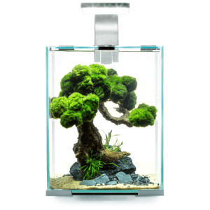 Aquael Shrimp Set Day & Night 10 Black