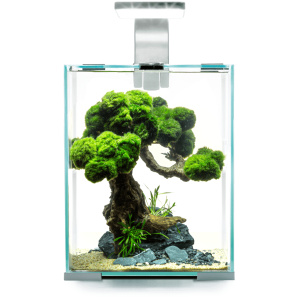 Aquael Shrimp Set Day & Night 10 White