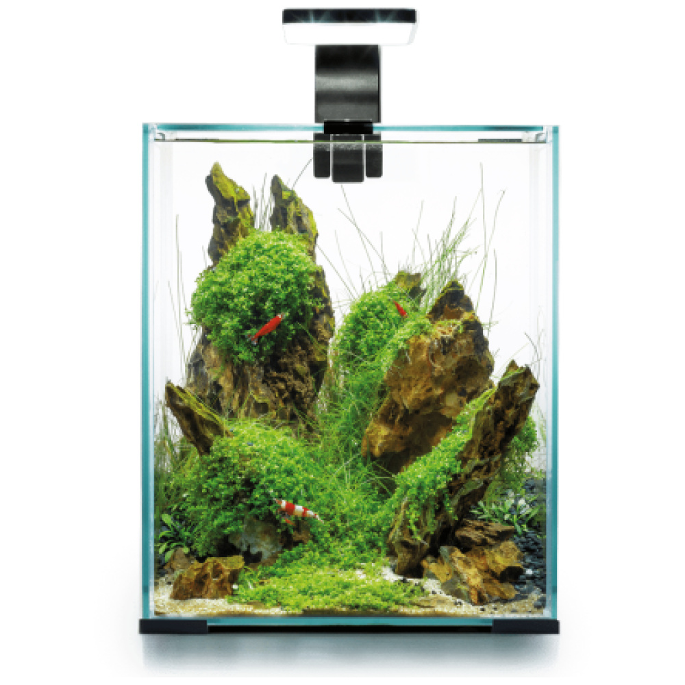 Aquael Shrimp Set Day & Night 20 White