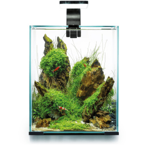 Aquael Shrimp Set Day & Night 20 Black