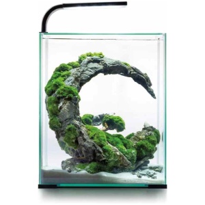 Aquael Shrimp Set Day & Night 30 Black