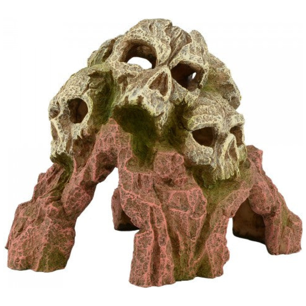 Bioscape Tripe Skull Mountain 18 x 14cm