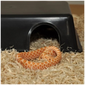 Habistat Plastic Hide – Large