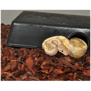 Habistat Plastic Hide – Extra Large