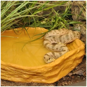 Habistat Sandstone Water Dish – Extra Large