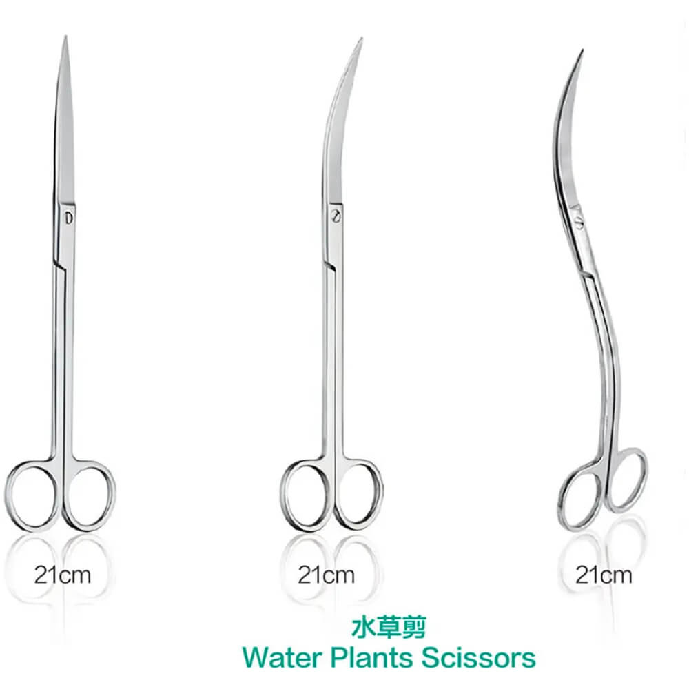 Chihiros Straight Scissors 21Cm
