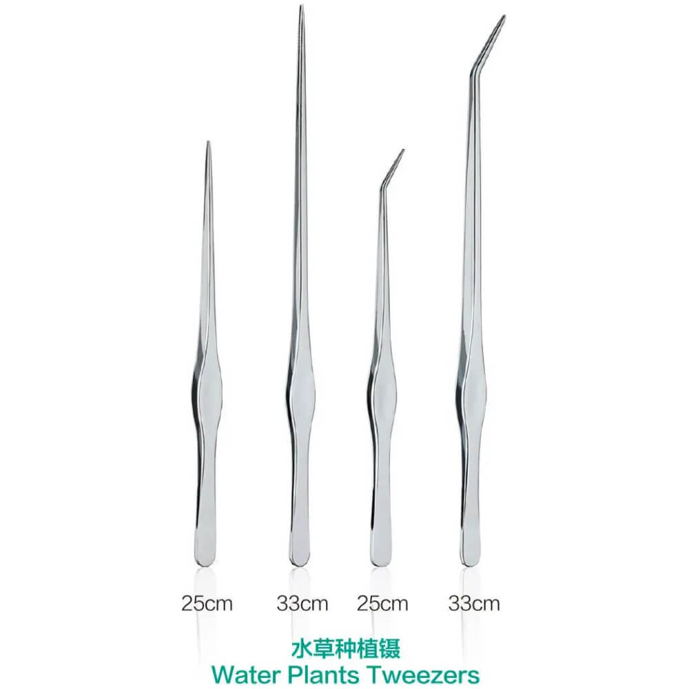Chihiros Straight Tweezers 25Cm