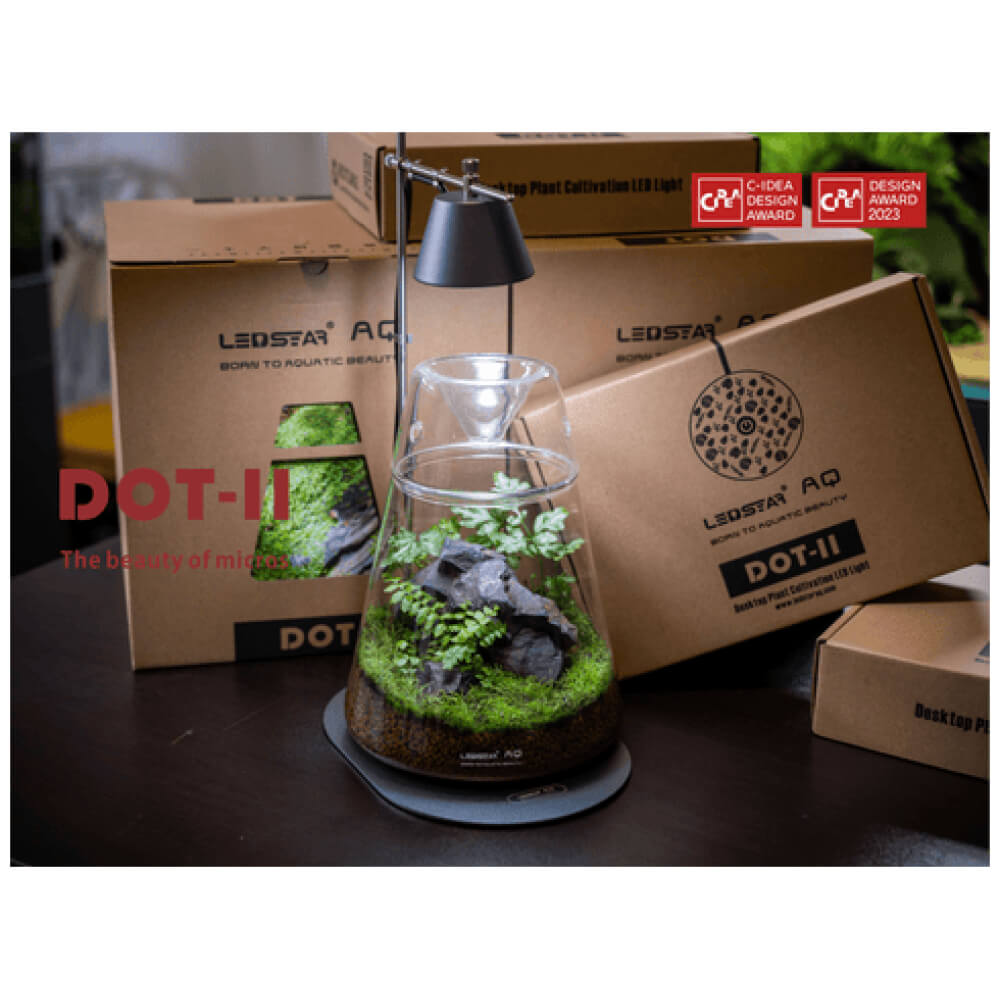 DOT-II Terrarium Set - Image 4