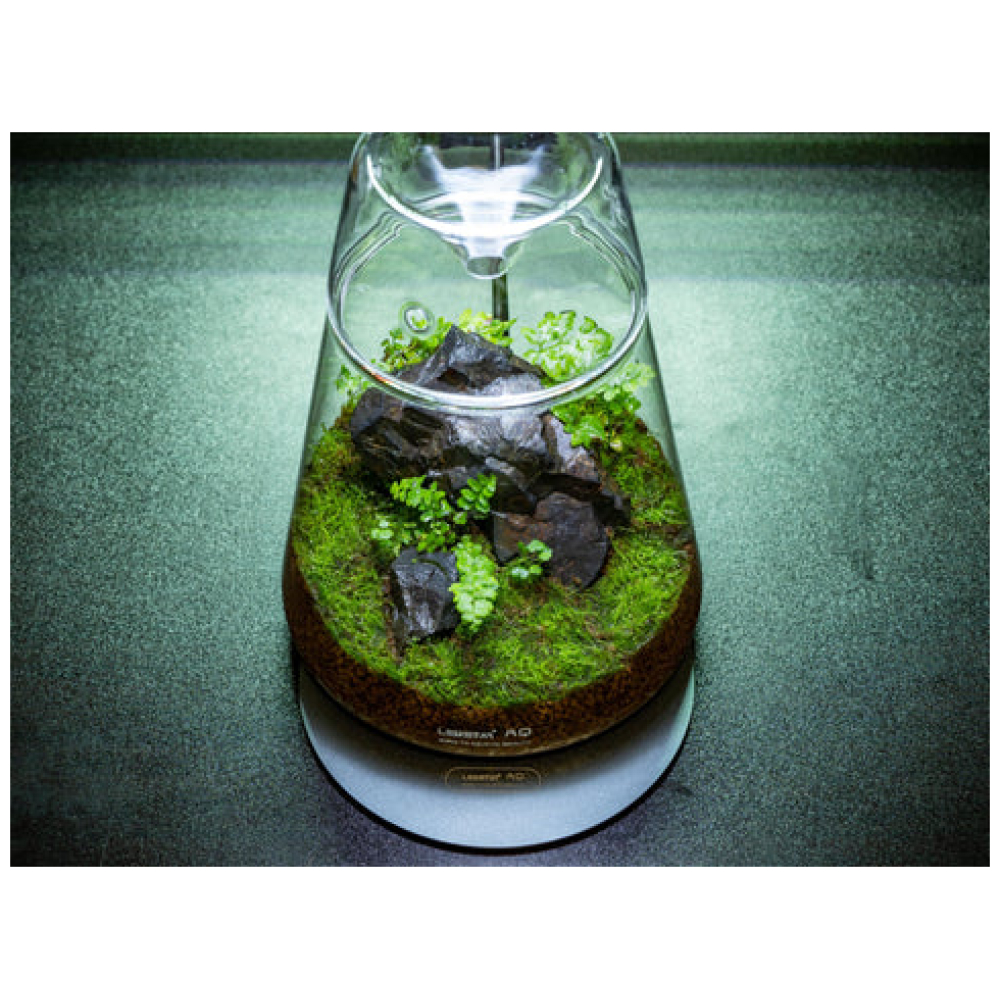 DOT-II Terrarium Set - Image 2