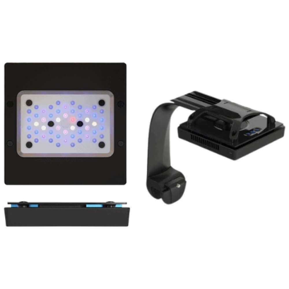 Ecotech Radion XR15 Gen 6 Blue Light With Tank Mounting System
