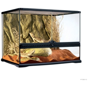 Exo Terra Medium Wide Terrarium 60 X 45 X 45cm