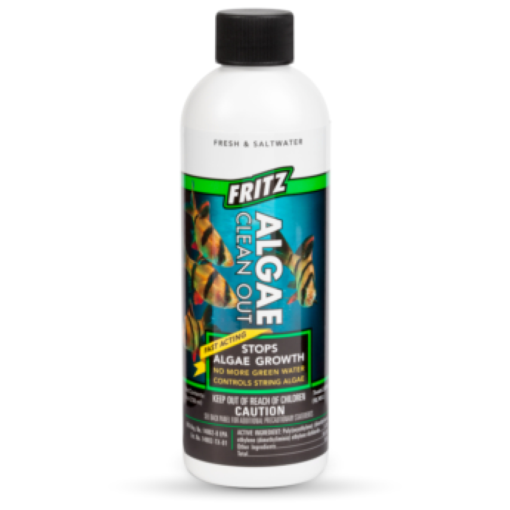 Fritz Algae Clean Out 236ml/8oz