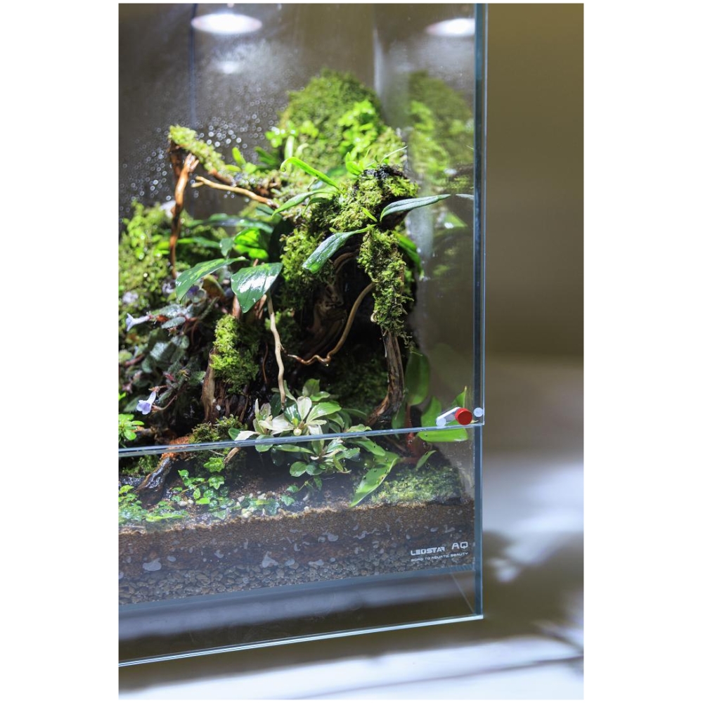 AQ-F30 Infinity Hylaea All-in-One Terrarium Kit (30x30x50cm) - Image 2