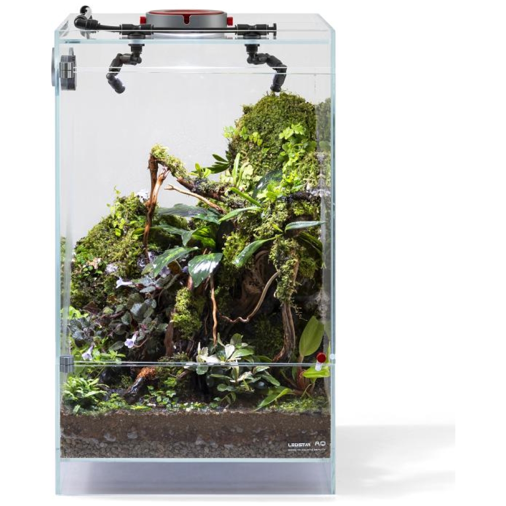 AQ-F30 Infinity Hylaea All-in-One Terrarium Kit (30x30x50cm)